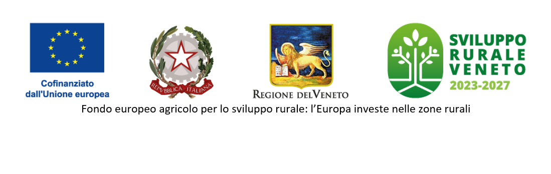 Progetti